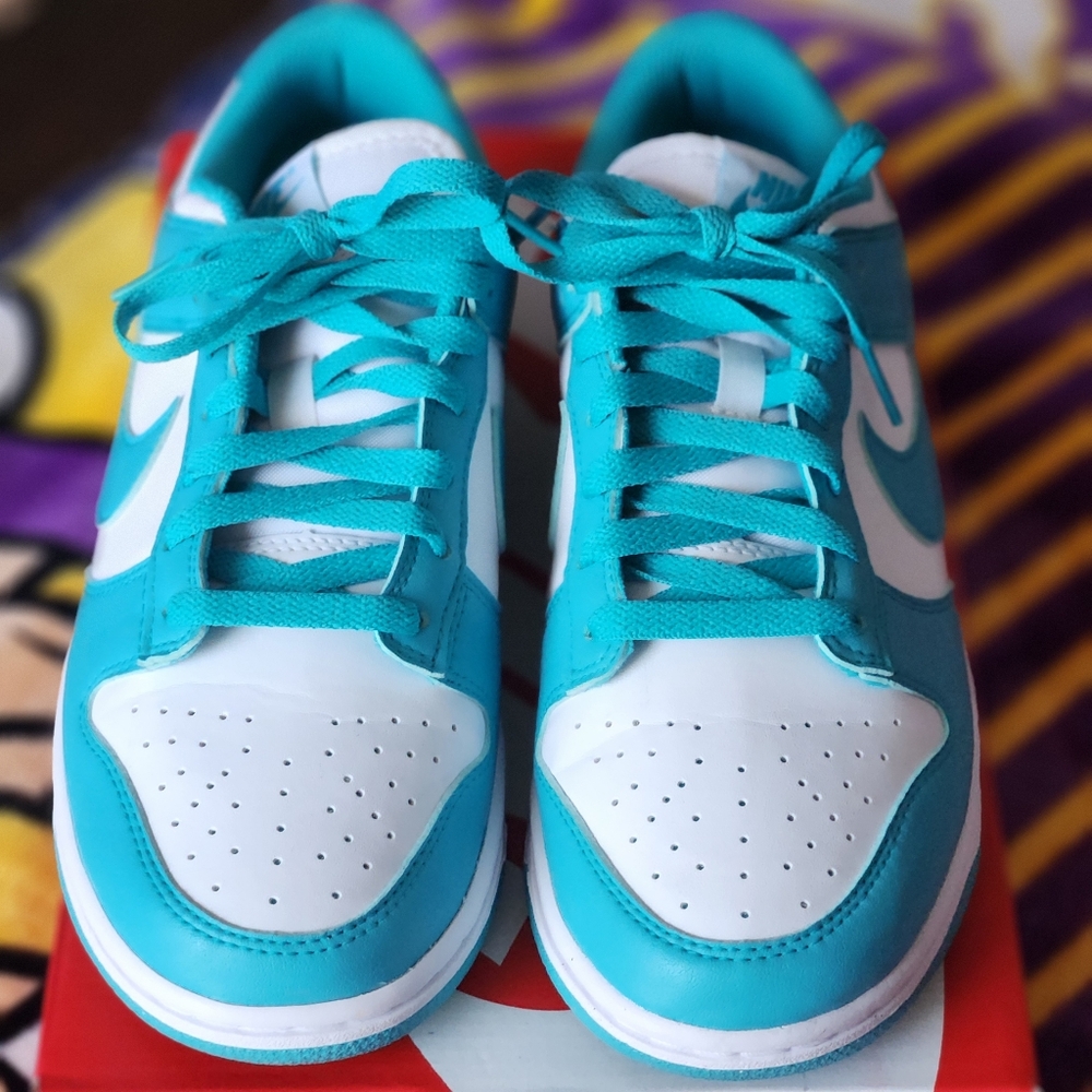 Nike Dunk Low Next Nature Women's Size 8